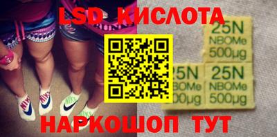 шишки Кандалакша
