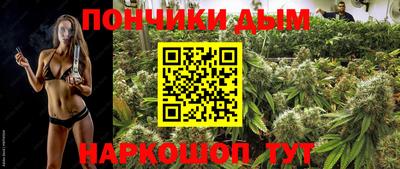 шишки Кандалакша
